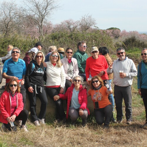 XXV Muestra almendro en flor (80)